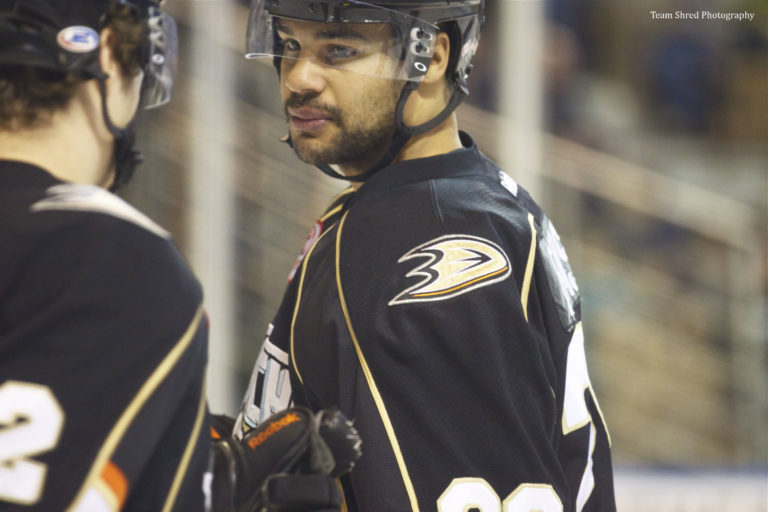 Mark Fraser(29) Toronto Marlies CollegeHockeyPlayers