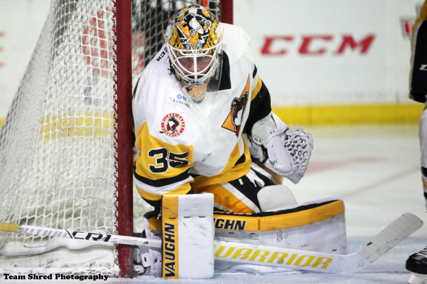 TRISTAN JARRY NAMED PENGUINS' WINNER OF IOA/AMERICAN SPECIALTY MAN OF THE  YEAR